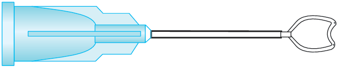 Heart Shaped Design For Easier Insertion Under Nucleus Two Forward Ports End Ports